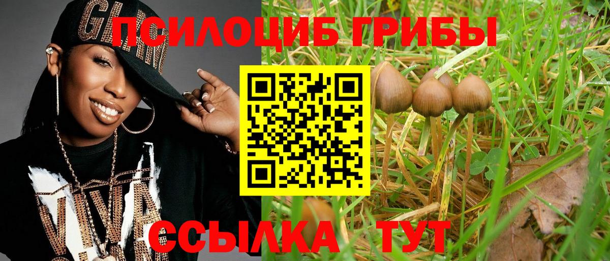 Электрогорск  закладки  Псилоцибиновые грибы MAGIC MUSHROOMS  Вход с VPN  Галлюциногенные грибы Psilocybine cubensis 